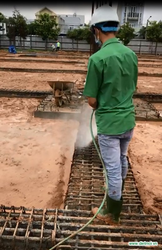 Xử Lý Mối Công Trình Tại Ninh Hòa